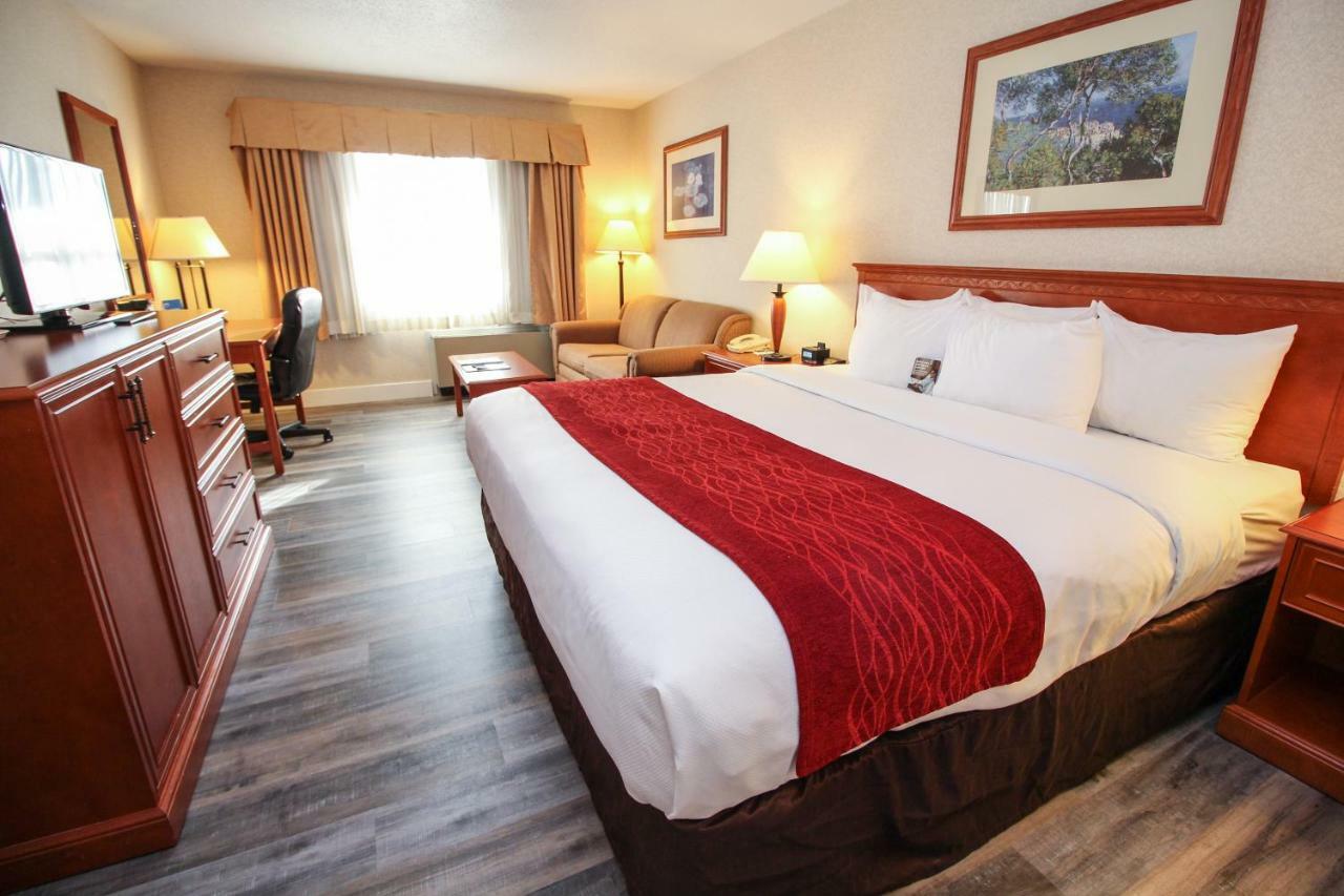 Comfort Inn & Suites Victoria Ngoại thất bức ảnh